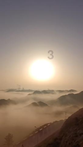 动物狂欢夜