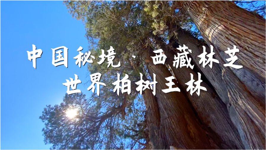 小酥肉怎么做？