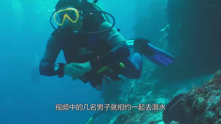 要怎么腌好吃红迪网平台-最新热门话题讨论社区